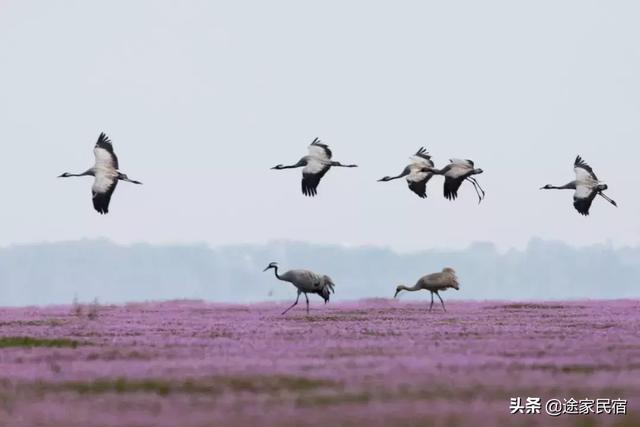 十大必去景点穷游（超适合穷游的8个旅行地）(13)