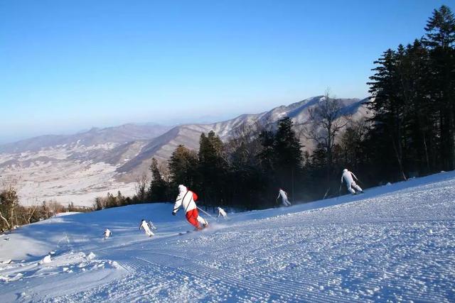 国内滑雪场地推荐（江浙沪滑雪场居然这么多）(10)