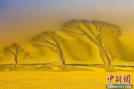 中国有多长的海岸线（中国海岸线长度是多少千米）(图6)