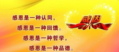 ​心存感恩的经典语句,感恩语录短句精选