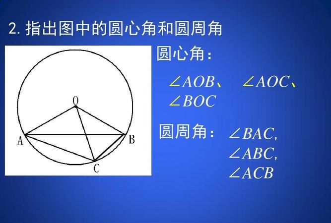 圆周角与圆心角的关系