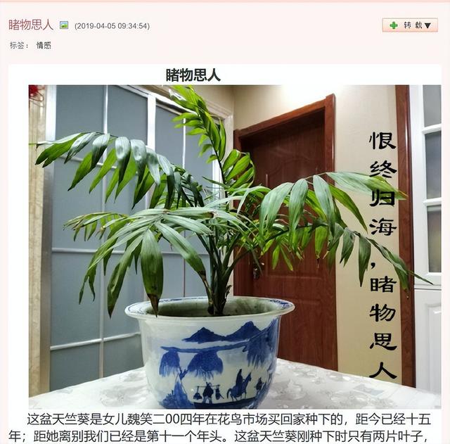 主持人魏笑生前结局（魏笑24岁成知名主持）(36)
