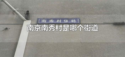 ​南京南秀村是哪个街道（江苏省南京市北秀村是哪个街道）