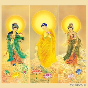 ​净慧老和尚简介（净慧老和尚禅在当下）