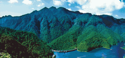 ​桃花岛景点门票价目表最新消息（吉水桃花岛盛大开园）