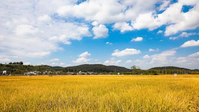 香山一日游全攻略（即刻就出发挖到一个踏秋好去处）(10)