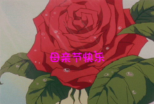 母亲节对妈妈说的话，在母亲节这天，最想对妈妈说一句什么话来表达你对母亲的爱？图5