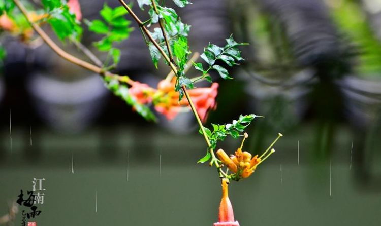 江南梅雨季节起止时间