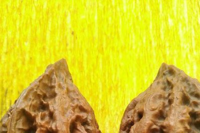 ​一颗30多年的文玩核桃树值多少钱