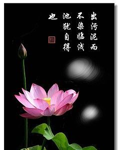 出淤泥而不染,濯清涟而不妖意思相反的是