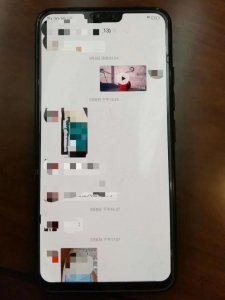 ​小心你的猎奇行为触犯了法律英语,奇怪的犯法行为