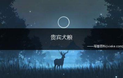 ​贵宾犬粮，贵宾犬狗粮喂食标准表