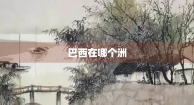 ​巴西在哪个洲(巴西在哪个洲国家)