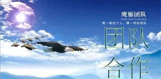 团队的凝聚力和团结性（建设团队的重要性）(2)