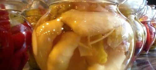 我家的泡菜坛子的坛沿水生蛆了,该怎么办啊?