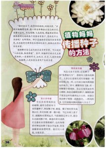 ​植物妈妈传播种子的方法（植物扩繁方式有哪些）