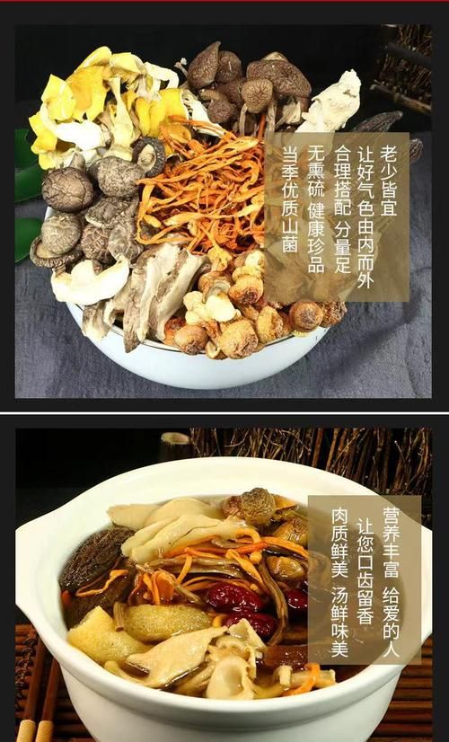 霉菌和蘑菇木耳都是什么菌