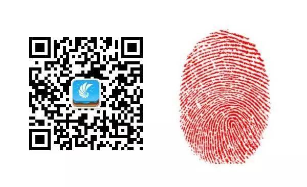 精灵宝可梦懒人模式（精灵宝可梦GOV1.1.0破解懒人版更新）(6)