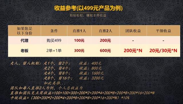 快手上的电商营销方式（链动21电商的）(4)