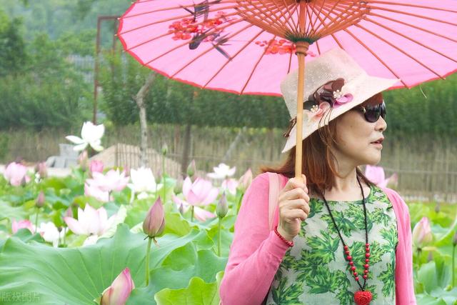 满庭芳词李清照（此情无计可消除）(1)