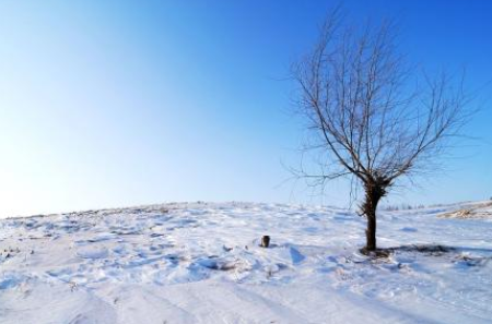 雪景发朋友圈配一句话,雪景发朋友圈的精美句子大全图2