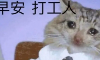 ​早安打工人怎么火起来的,“打工人”为何火遍全网