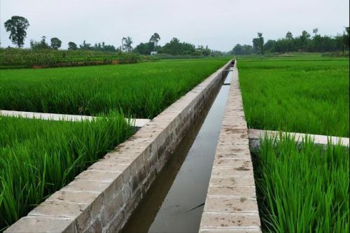 生物教学方向的论文选题(生物实验器材)-第1张图片-