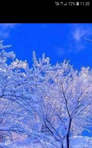​描写雪景的优美句子有哪些,描写雪景的优美句子及出处
