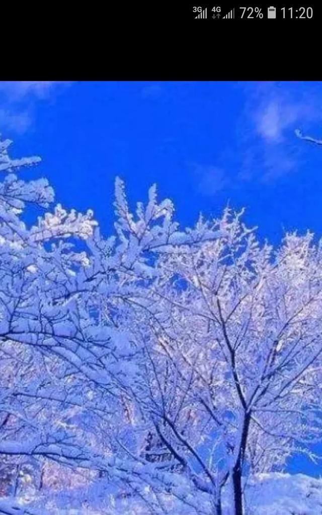描写雪景的优美句子有哪些,描写雪景的优美句子及出处图1