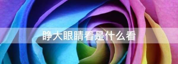 睁大眼睛看是什么看,表示向远看的成语图3