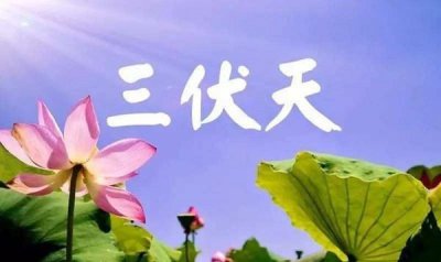 ​几月几号入伏几月几号出伏,今年什么时间入伏几点几分