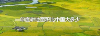 ​印度可耕种土地面积,印度耕地面积比中国大多少亩