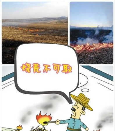 森林草原防火五不准十不准十五不准