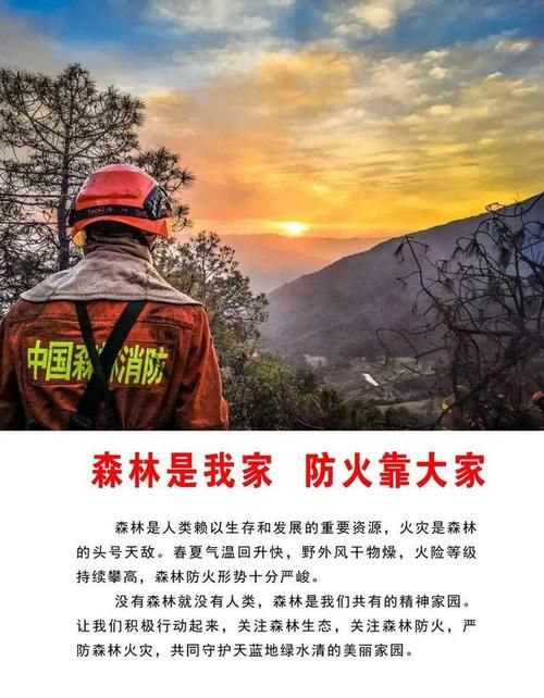 森林防火意义何在