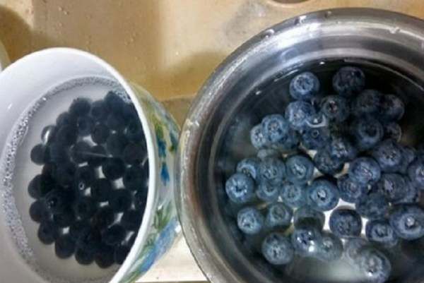 蓝莓怎么洗才干净,蓝莓怎么清洗才能洗得干净图2