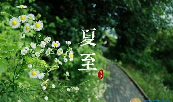 立夏下雨好还是不下雨好
