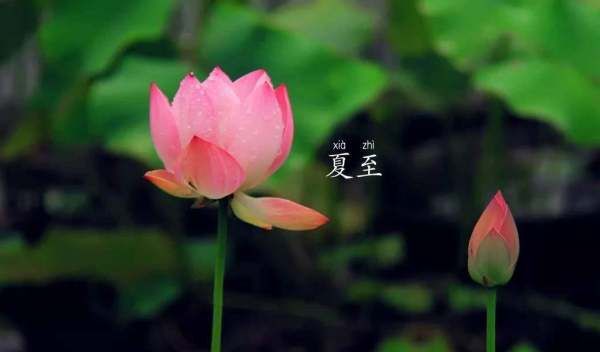 夏至下雨有什么说法,立夏下雨好还是不下雨好图7