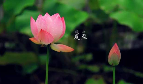 夏至下雨有什么说法,立夏下雨好还是不下雨好图4