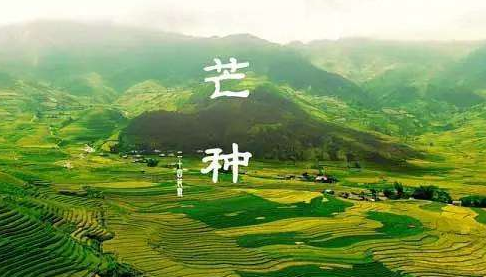 夏至下雨有什么说法,立夏下雨好还是不下雨好图3