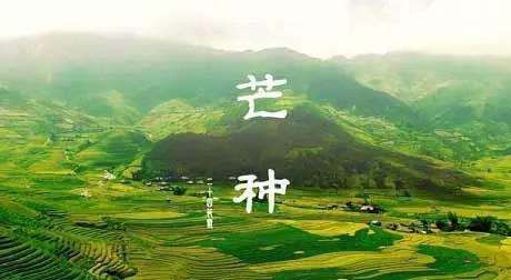 夏至下雨有什么说法,立夏下雨好还是不下雨好图6