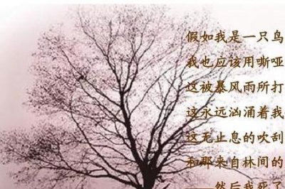 ​为什么我的眼里常含泪水情感