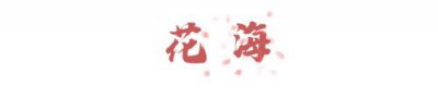 ​带你去看星星，带你去看星星文案