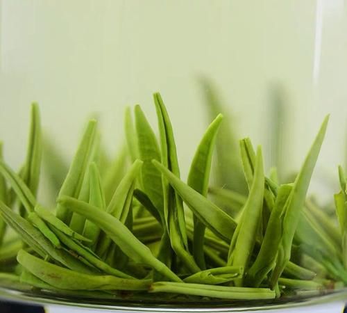 绿茶是什么香型的