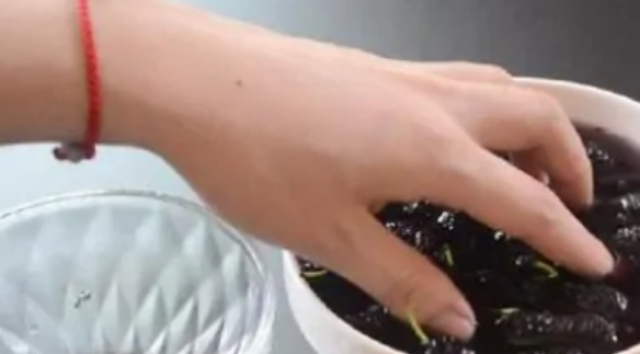桑葚怎么洗干净,简单又快捷的清洗桑葚的方法有哪些呢图8