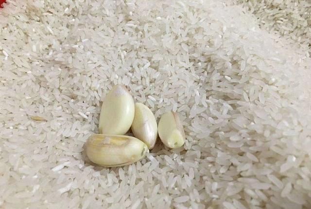 大米预防生虫放入大蒜可以吗