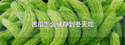 ​苦瓜怎么保存到冬天食用，苹果苦瓜冬天可以种植？