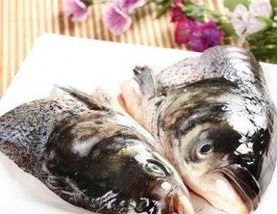 ​鱼头豆腐汤可以放香菜吗，鱼头汤可以放麻油吗？