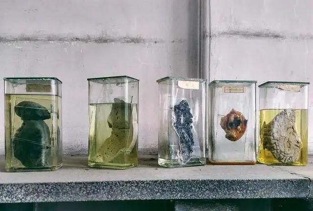 福尔马林主要成分是什么