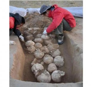​她改变了一个国家的态度阅读答案(态度议论文阅读答案)