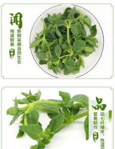 ​三七菜和田七菜的区别，田七菜和田七的区别？
